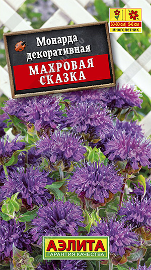 Монарда махровая сказка фото